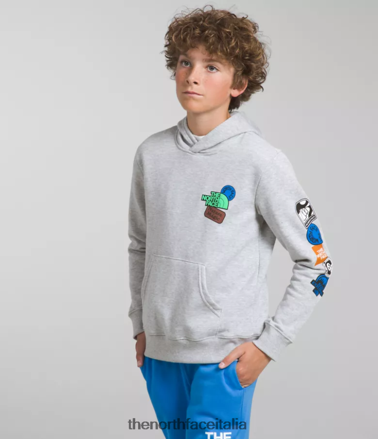 The North Face vestiario 460N8D1108 tnf grigio chiaro erica/blu ottico bambini Felpa con cappuccio in pile da campo - Clicca l'immagine per chiudere