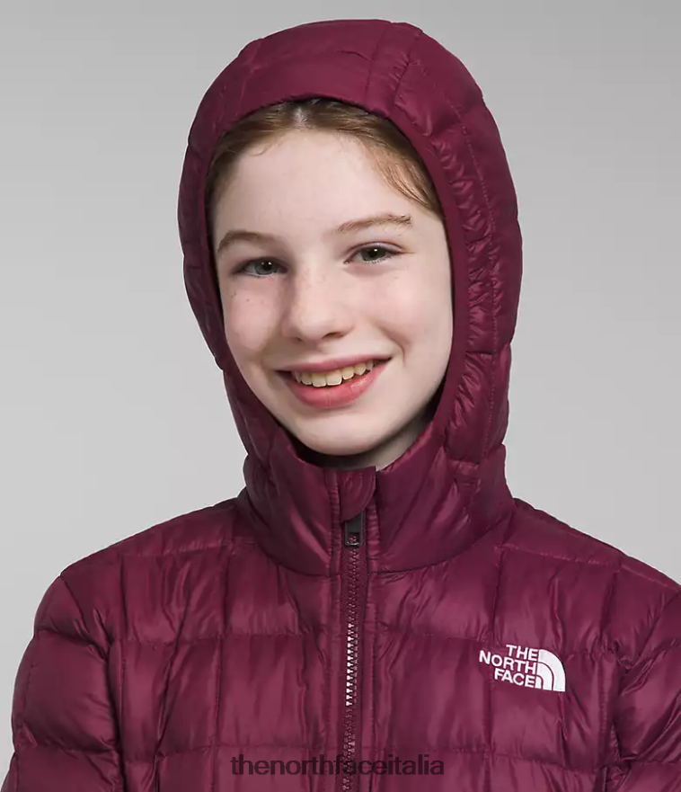 The North Face vestiario 460N8D459 boysenberry bambini parka termoball