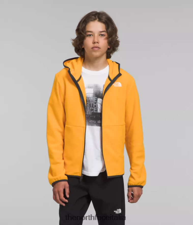 The North Face vestiario 460N8D948 vetta d'oro bambini Giacca con cappuccio e zip intera Glacier