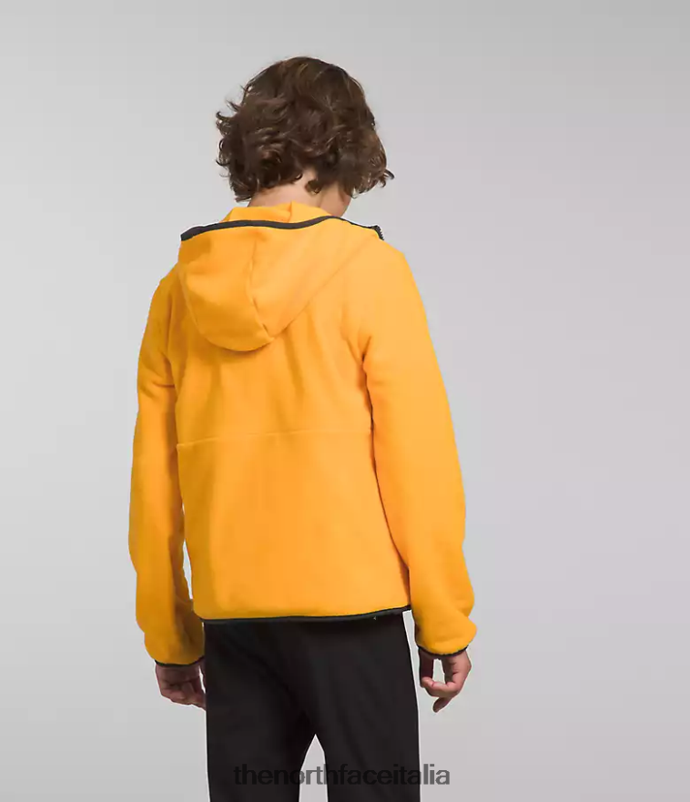The North Face vestiario 460N8D948 vetta d'oro bambini Giacca con cappuccio e zip intera Glacier