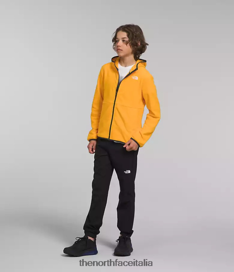 The North Face vestiario 460N8D948 vetta d'oro bambini Giacca con cappuccio e zip intera Glacier
