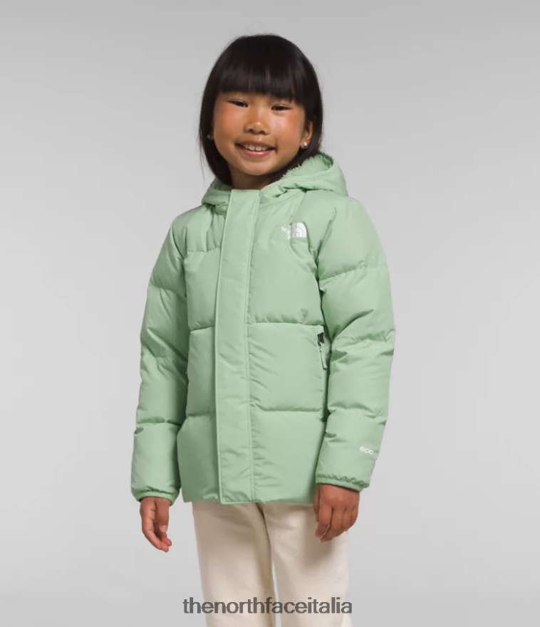 The North Face vestiario 460N8D864 saggio nebbioso bambini Piumino North con cappuccio