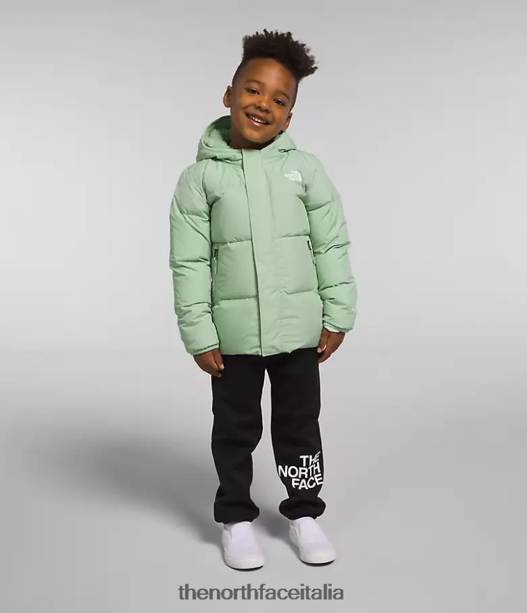 The North Face vestiario 460N8D864 saggio nebbioso bambini Piumino North con cappuccio