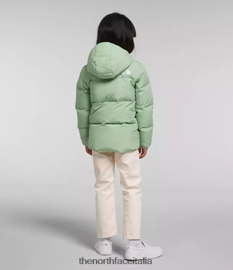 The North Face vestiario 460N8D864 saggio nebbioso bambini Piumino North con cappuccio