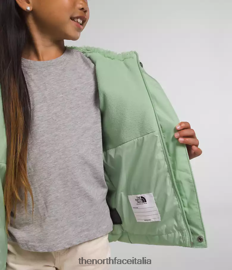 The North Face vestiario 460N8D864 saggio nebbioso bambini Piumino North con cappuccio