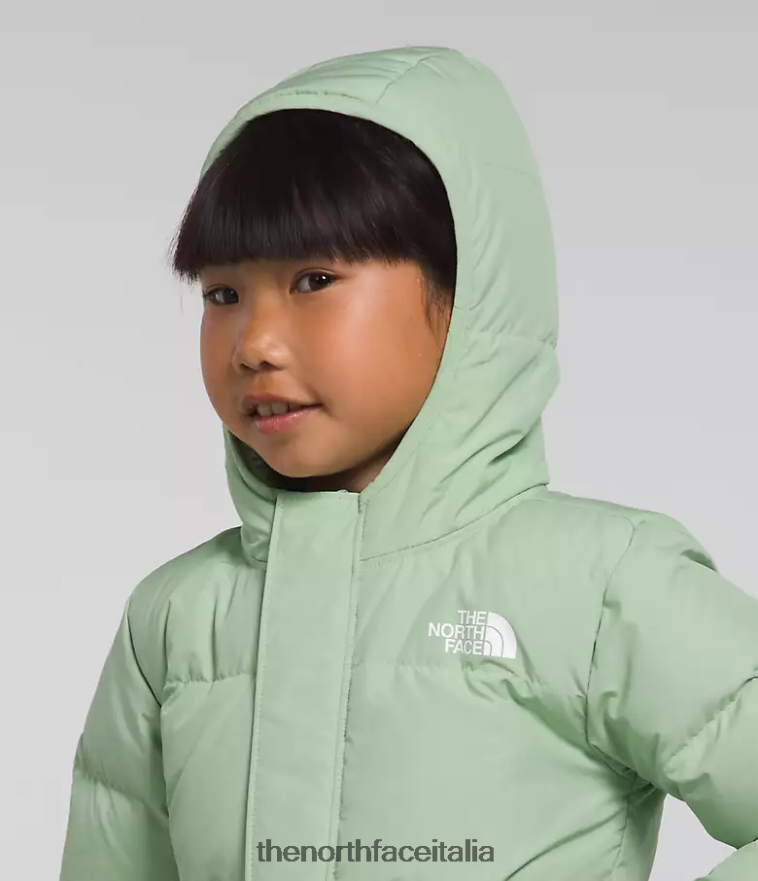 The North Face vestiario 460N8D864 saggio nebbioso bambini Piumino North con cappuccio