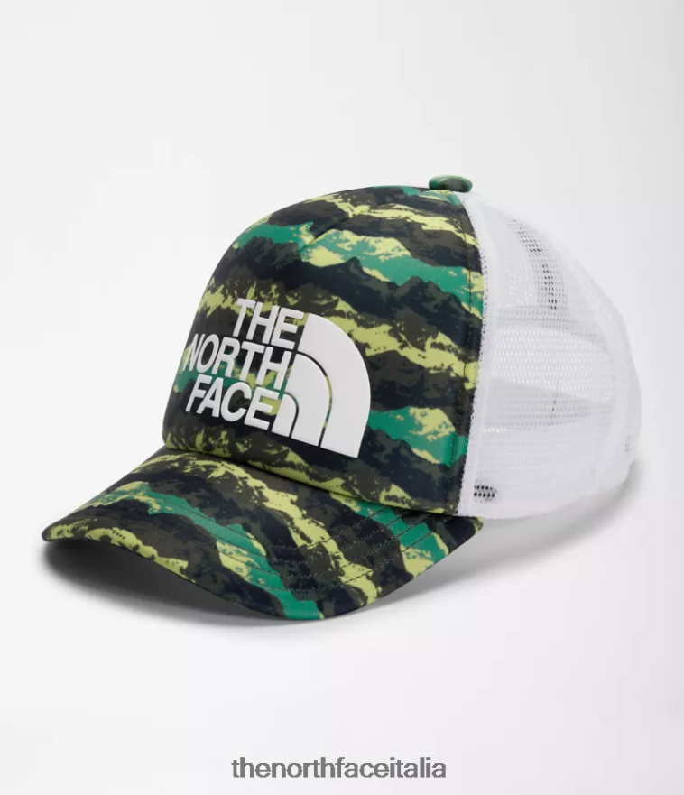 The North Face accessorio 460N8D184 stampa panorama di montagna verde erba profonda bambini camionista di schiuma