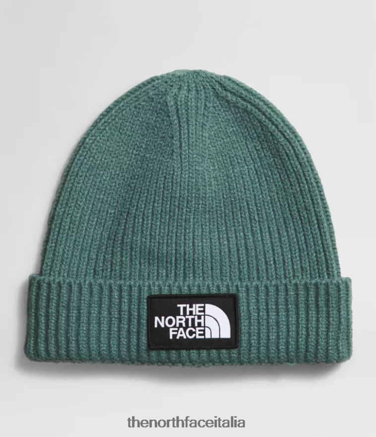 The North Face accessorio 460N8D763 salvia oscura bambini Berretto con risvolto con logo tnf box