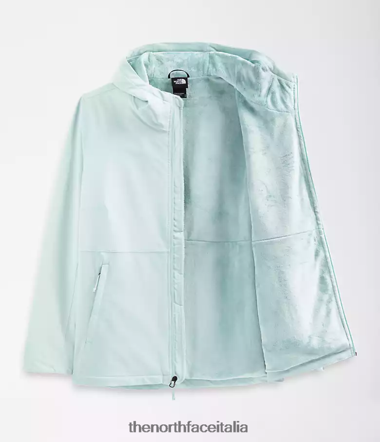 The North Face vestiario 460N8D1178 lucernario blu donne più la felpa con cappuccio Shelbe Raschel