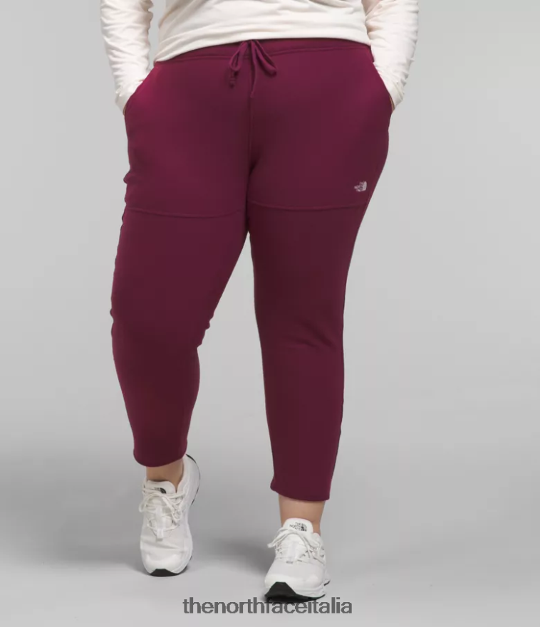 The North Face vestiario 460N8D251 boysenberry donne più pantaloni alpini polartec 100
