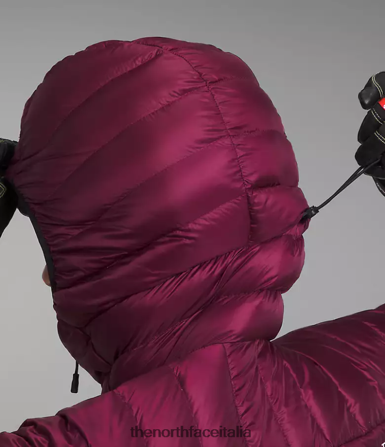The North Face vestiario 460N8D668 boysenberry donne Felpa con cappuccio Breithorn della serie Summit
