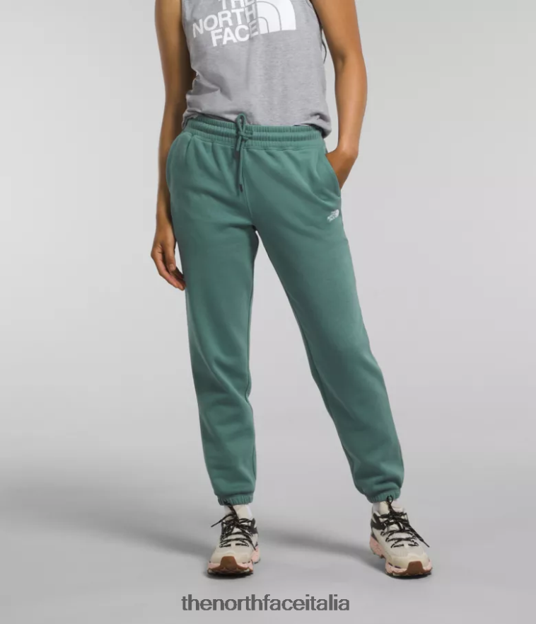 The North Face vestiario 460N8D976 salvia scuro/tnf bianco donne Pantaloni della tuta in pile a mezza cupola