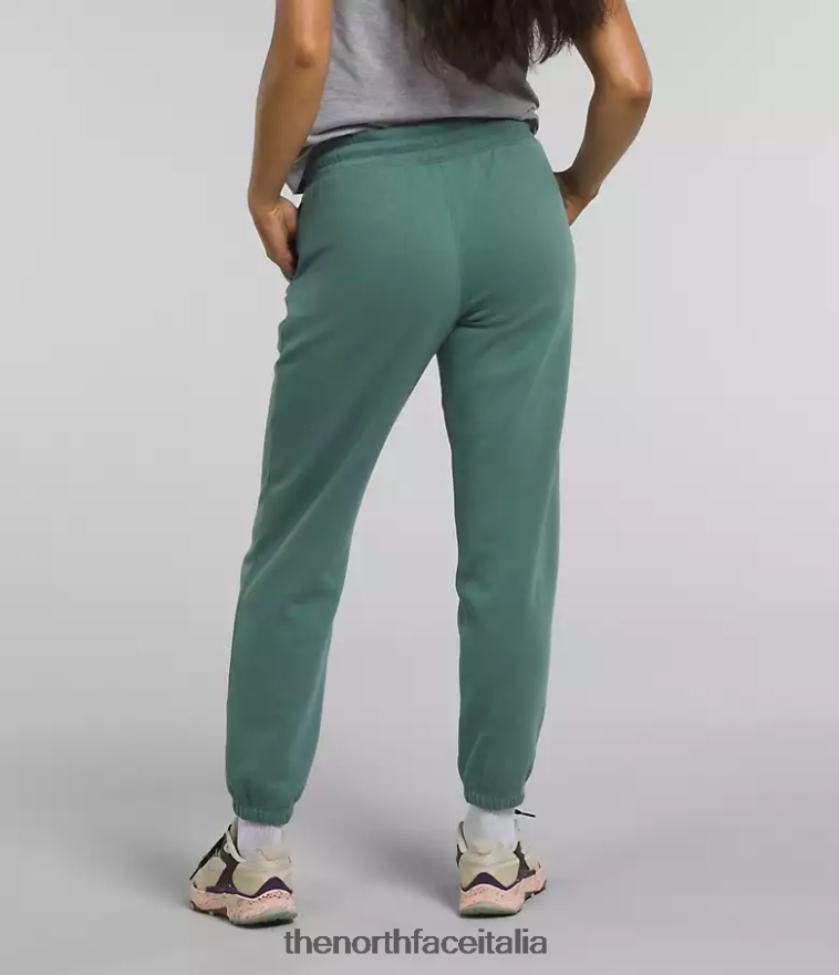 The North Face vestiario 460N8D976 salvia scuro/tnf bianco donne Pantaloni della tuta in pile a mezza cupola