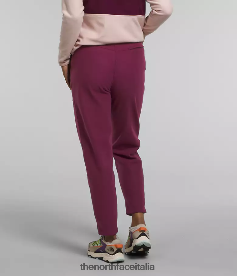 The North Face vestiario 460N8D846 boysenberry donne pantaloni alpini polartec 100