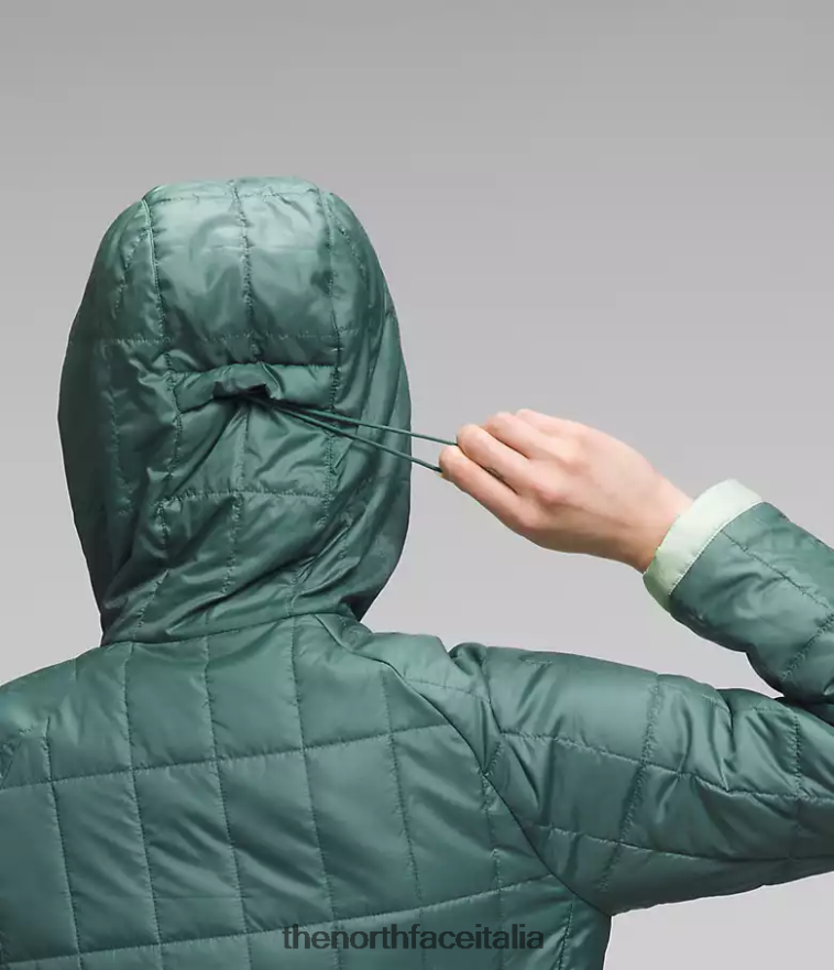 The North Face vestiario 460N8D505 salvia scura/salvia nebbiosa donne maglione con cerniera circaloft
