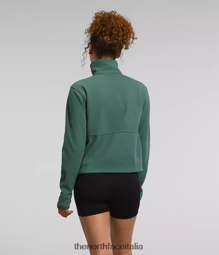 The North Face vestiario 460N8D157 salvia oscura donne cappuccio alpino polartec 100 -zip