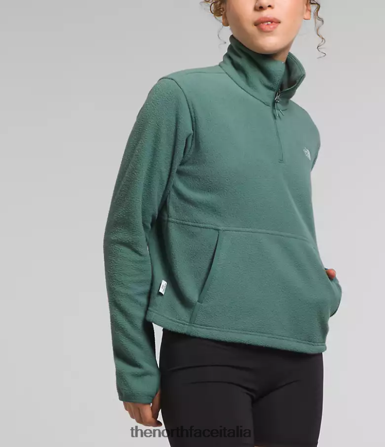 The North Face vestiario 460N8D157 salvia oscura donne cappuccio alpino polartec 100 -zip