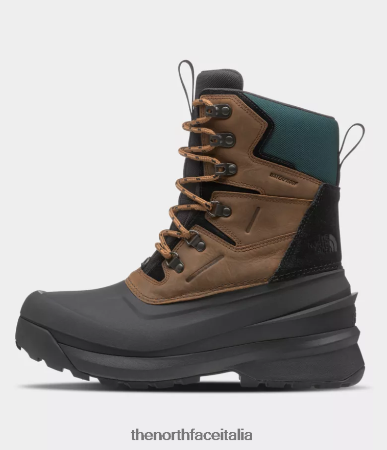 The North Face calzature 460N8D1267 marrone tostato/tnf nero uomini Stivali impermeabili Childat V400