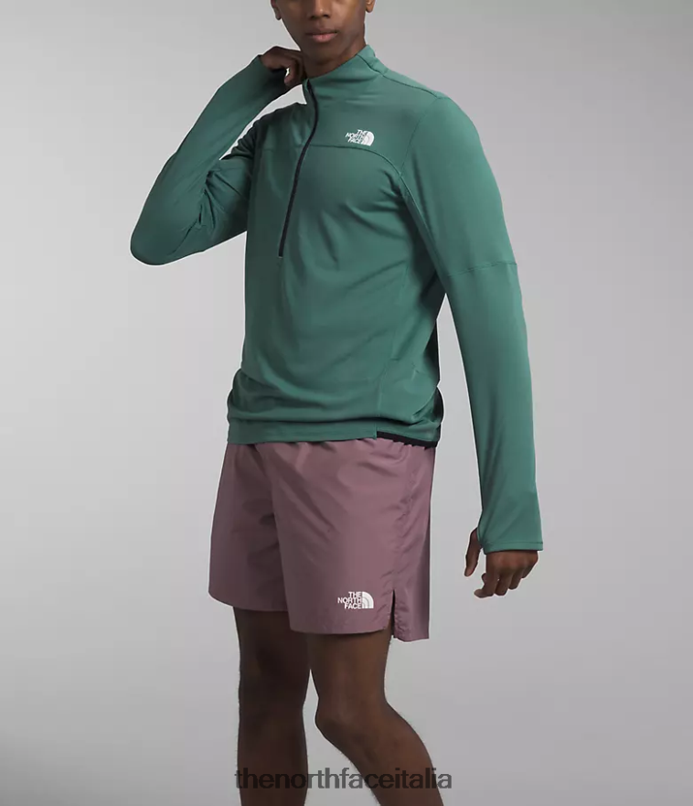 The North Face vestiario 460N8D486 salvia oscura uomini sunbur -zip