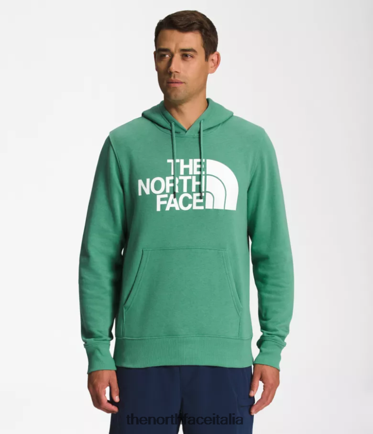 The North Face vestiario 460N8D109 verde erba intenso/bianco tnf uomini Felpa con cappuccio a mezza cupola