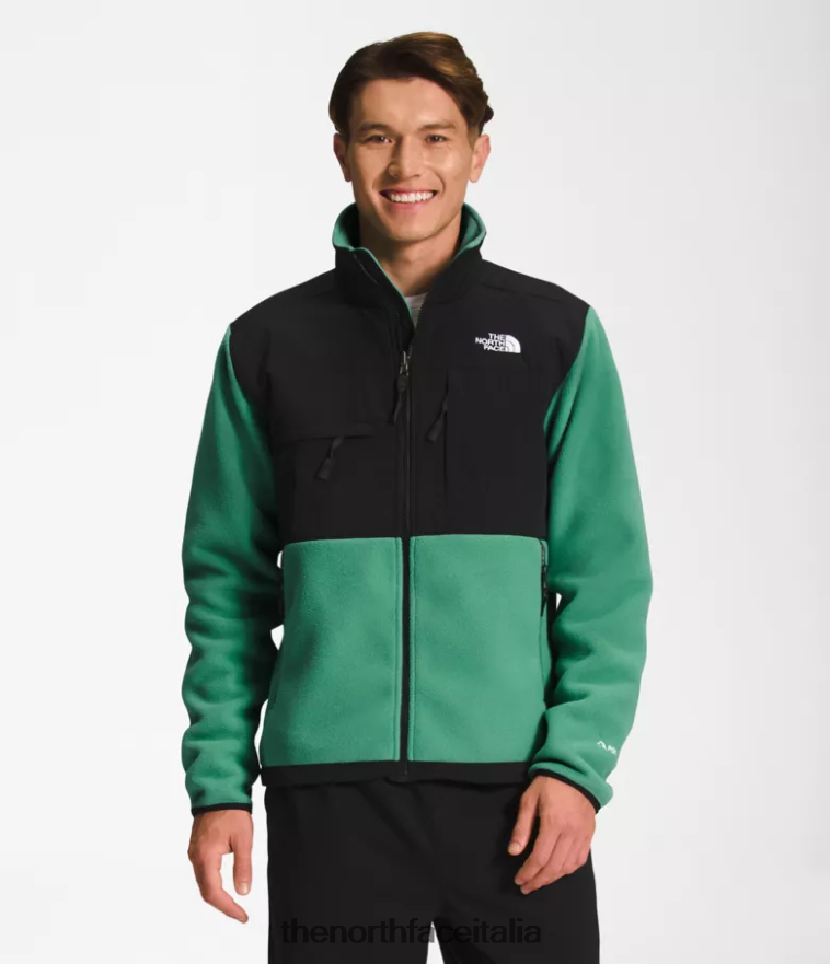 The North Face vestiario 460N8D197 verde erba intenso uomini giacca denali