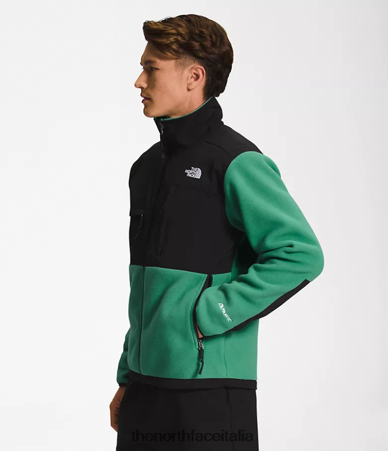 The North Face vestiario 460N8D197 verde erba intenso uomini giacca denali