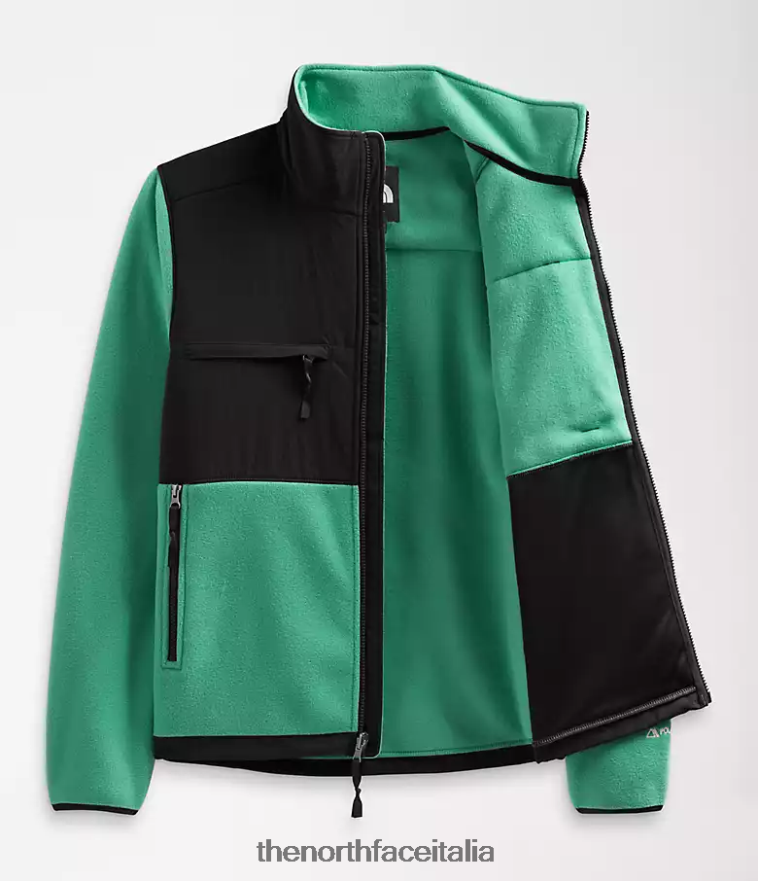 The North Face vestiario 460N8D197 verde erba intenso uomini giacca denali