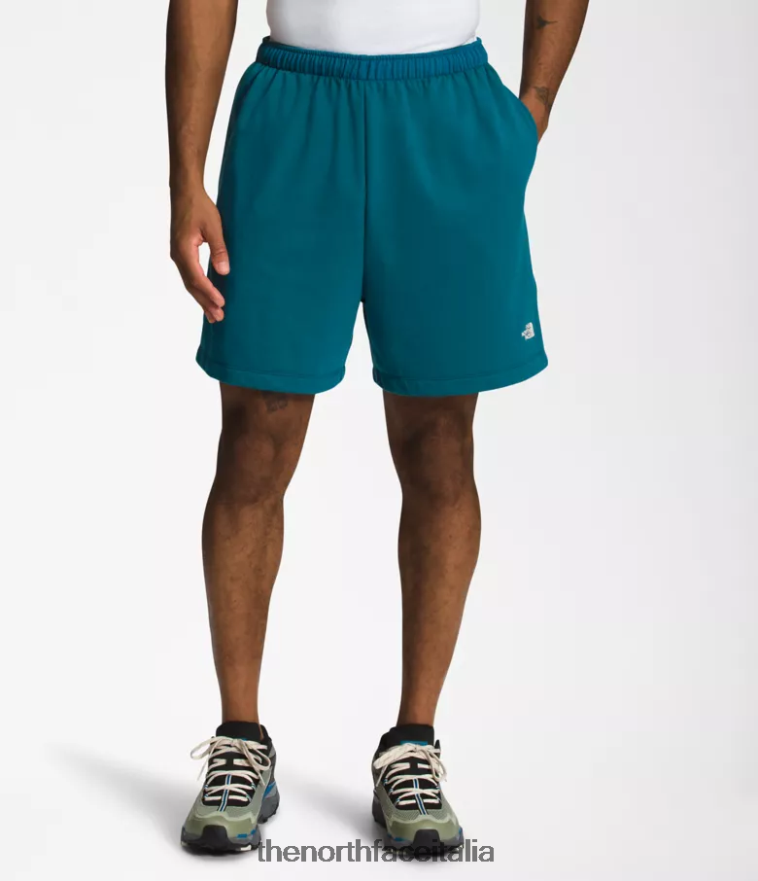 The North Face vestiario 460N8D362 corallo blu uomini pantaloncini in pile con logo semplice