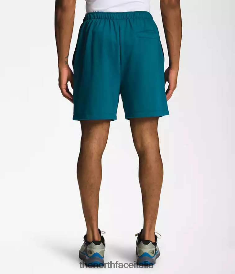 The North Face vestiario 460N8D362 corallo blu uomini pantaloncini in pile con logo semplice