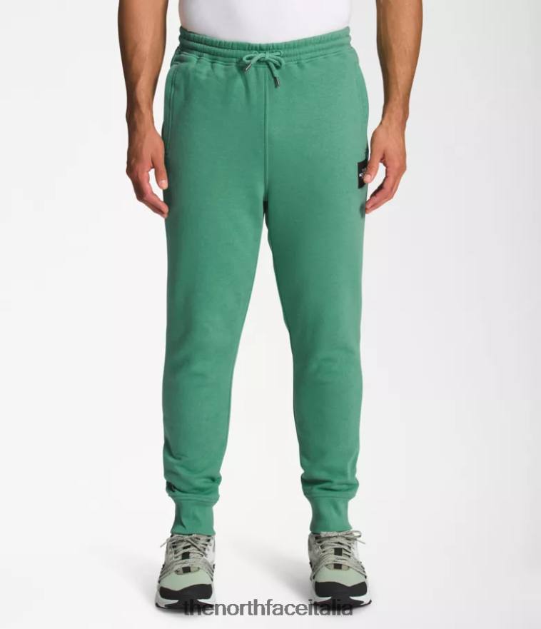 The North Face vestiario 460N8D1041 verde erba intenso/nero tnf uomini pantaloni da jogging box nse