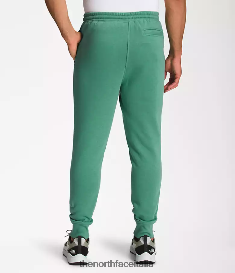 The North Face vestiario 460N8D1041 verde erba intenso/nero tnf uomini pantaloni da jogging box nse
