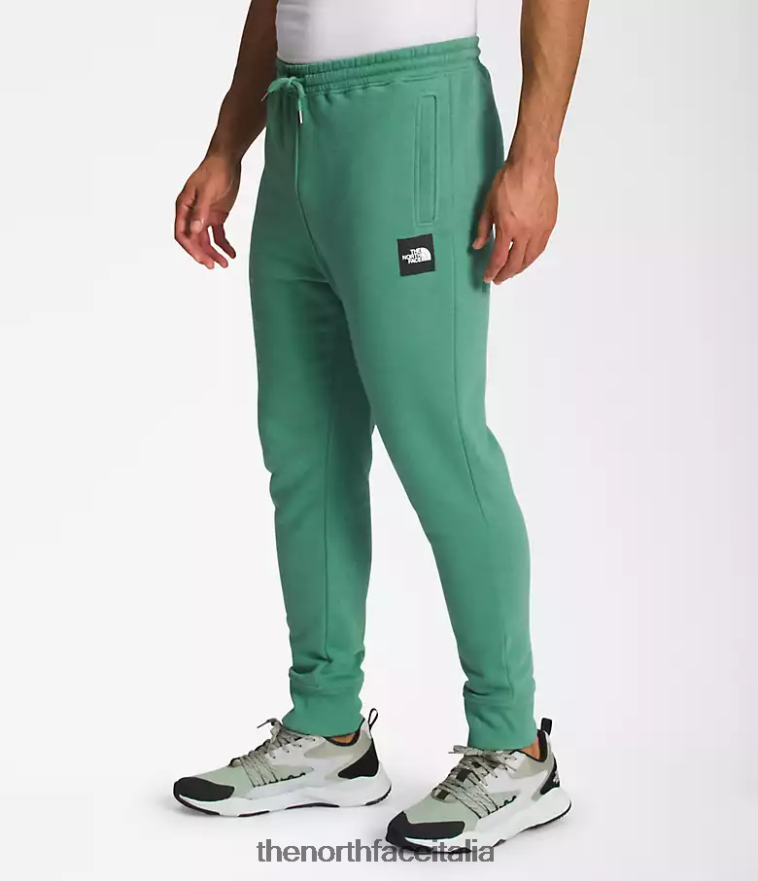 The North Face vestiario 460N8D1041 verde erba intenso/nero tnf uomini pantaloni da jogging box nse
