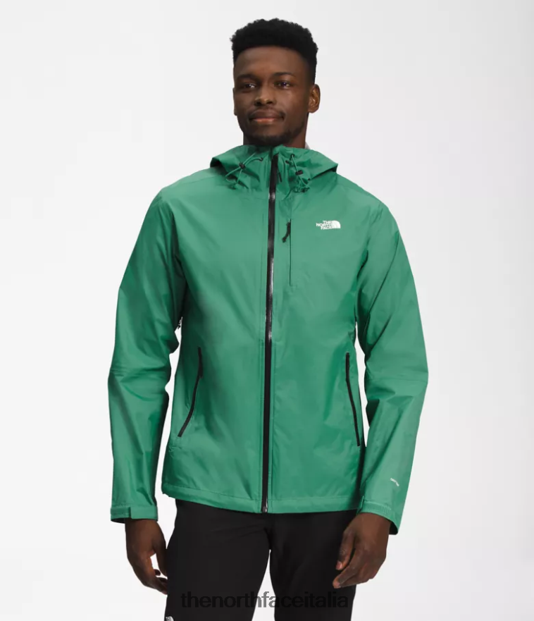 The North Face vestiario 460N8D1248 verde erba intenso uomini giacca alta vista