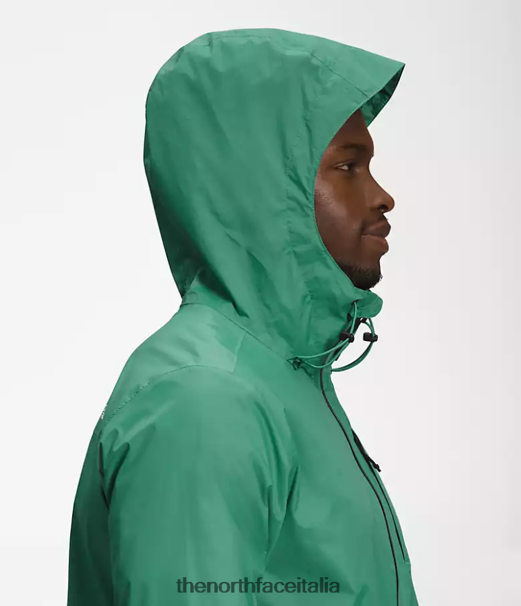 The North Face vestiario 460N8D1248 verde erba intenso uomini giacca alta vista