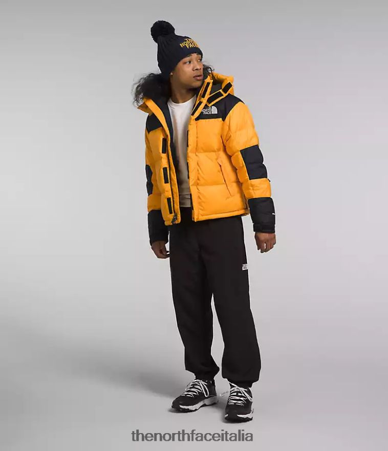 The North Face vestiario 460N8D1004 vertice oro/tnf nero uomini giacca hmlyn baltoro