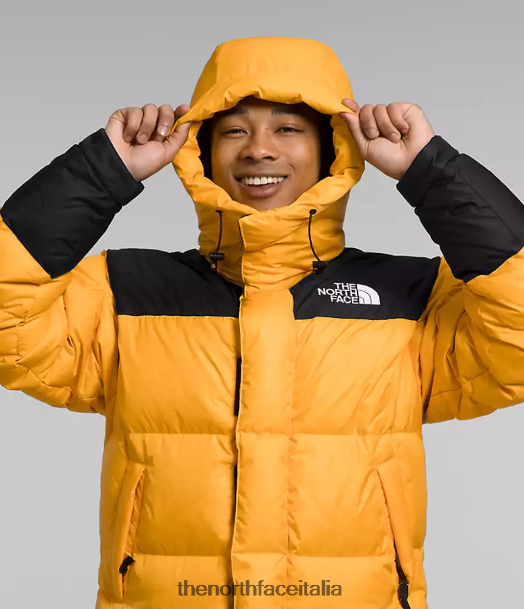 The North Face vestiario 460N8D1004 vertice oro/tnf nero uomini giacca hmlyn baltoro