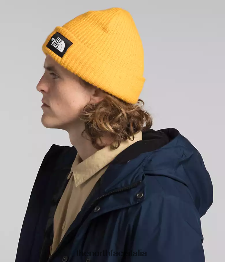 The North Face vestiario 460N8D1069 marina del vertice uomini parka artico gtx