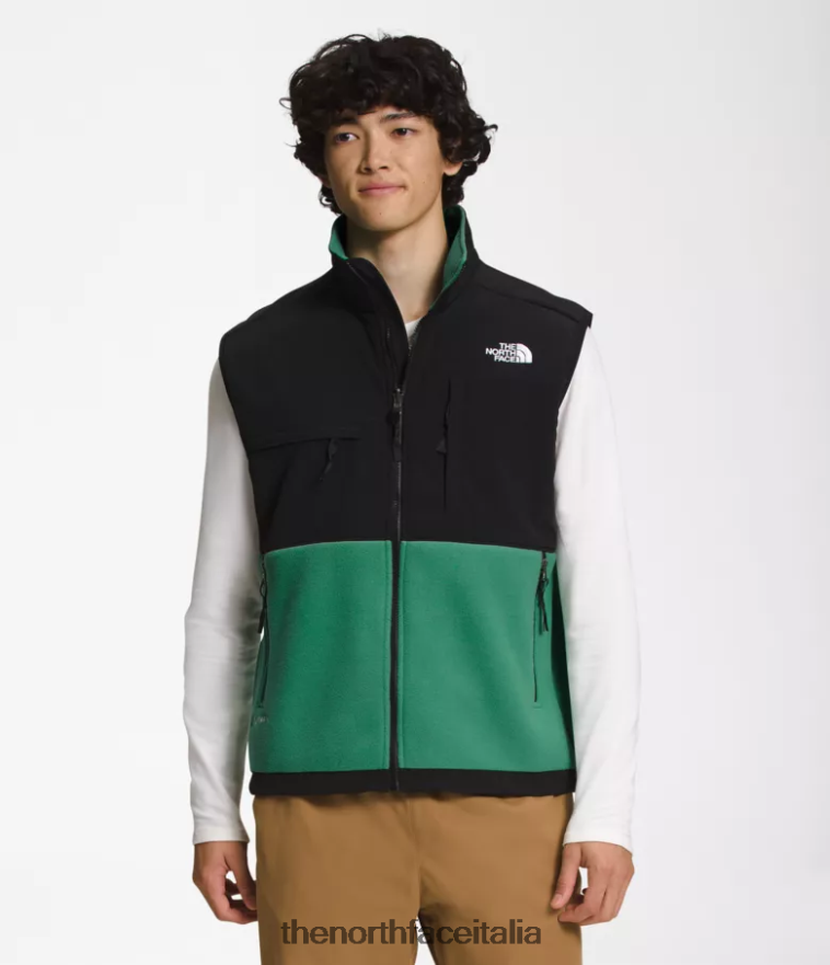 The North Face vestiario 460N8D601 verde erba intenso uomini gilet denali