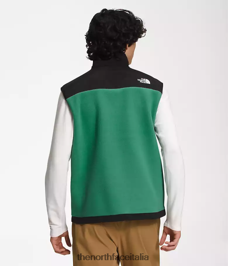 The North Face vestiario 460N8D601 verde erba intenso uomini gilet denali