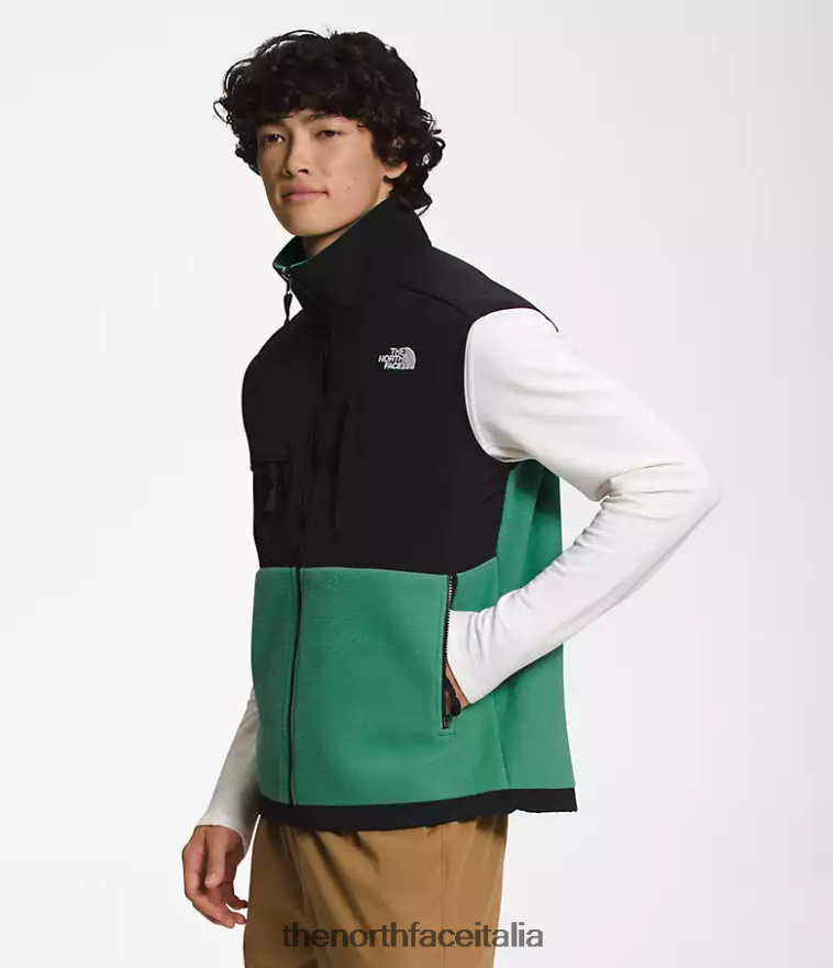 The North Face vestiario 460N8D601 verde erba intenso uomini gilet denali